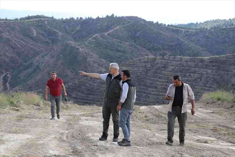 Adana'da geçen yıl çıkan 125 orman yangınının izleri siliniyor