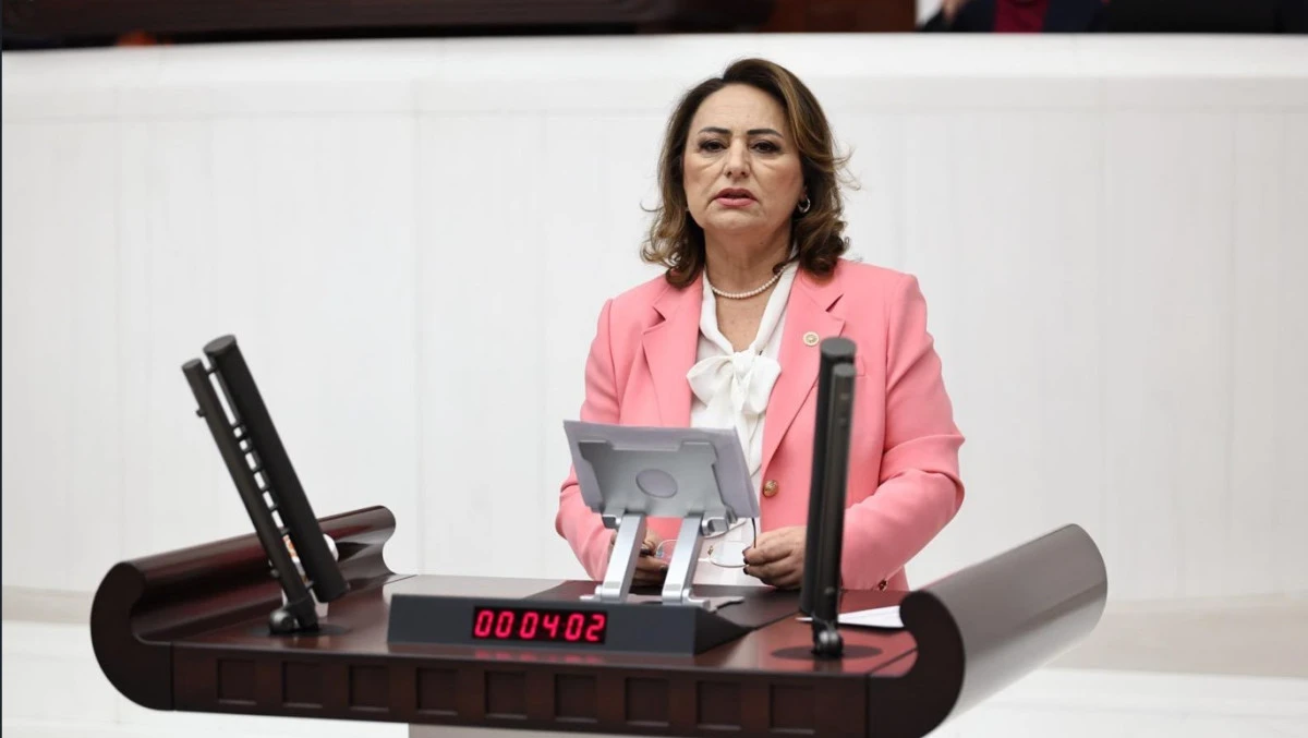 Adana'nın Kronikleşen Proje &Ccedil;ilesi Meclis G&uuml;ndeminde