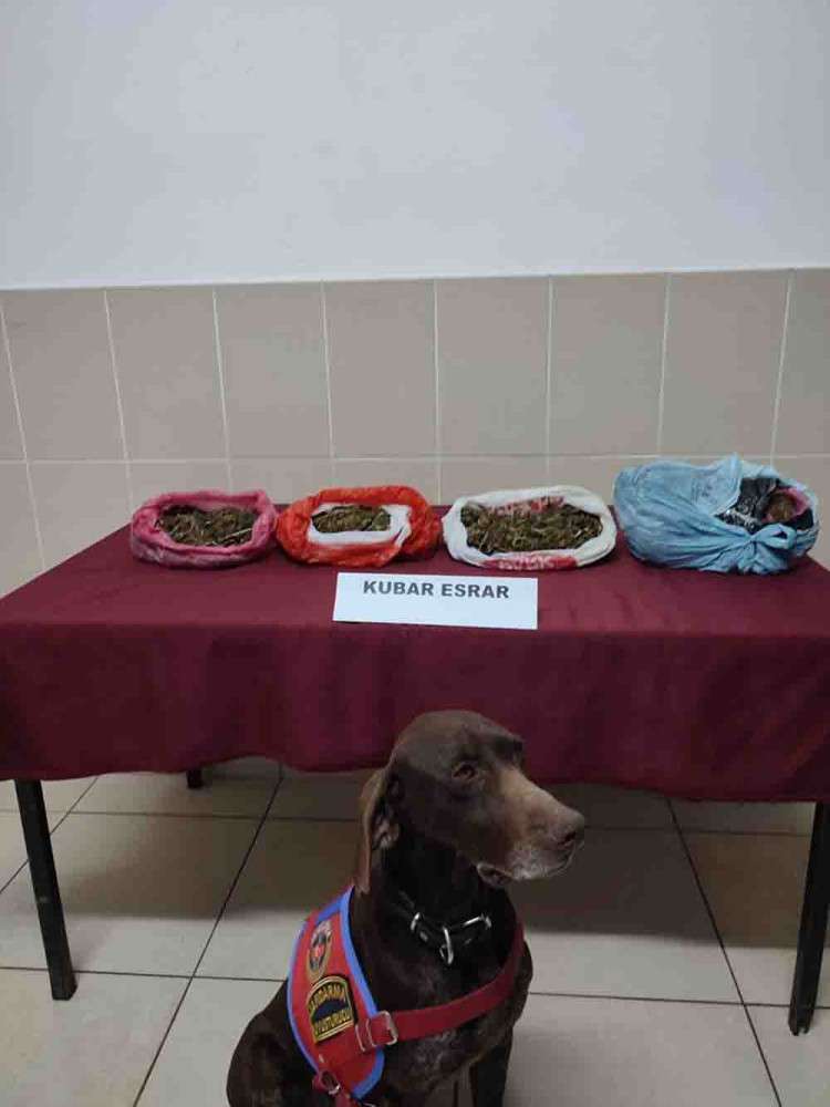  Adıyaman'da uyuşturucu operasyonunda 4 şüpheli yakalandı