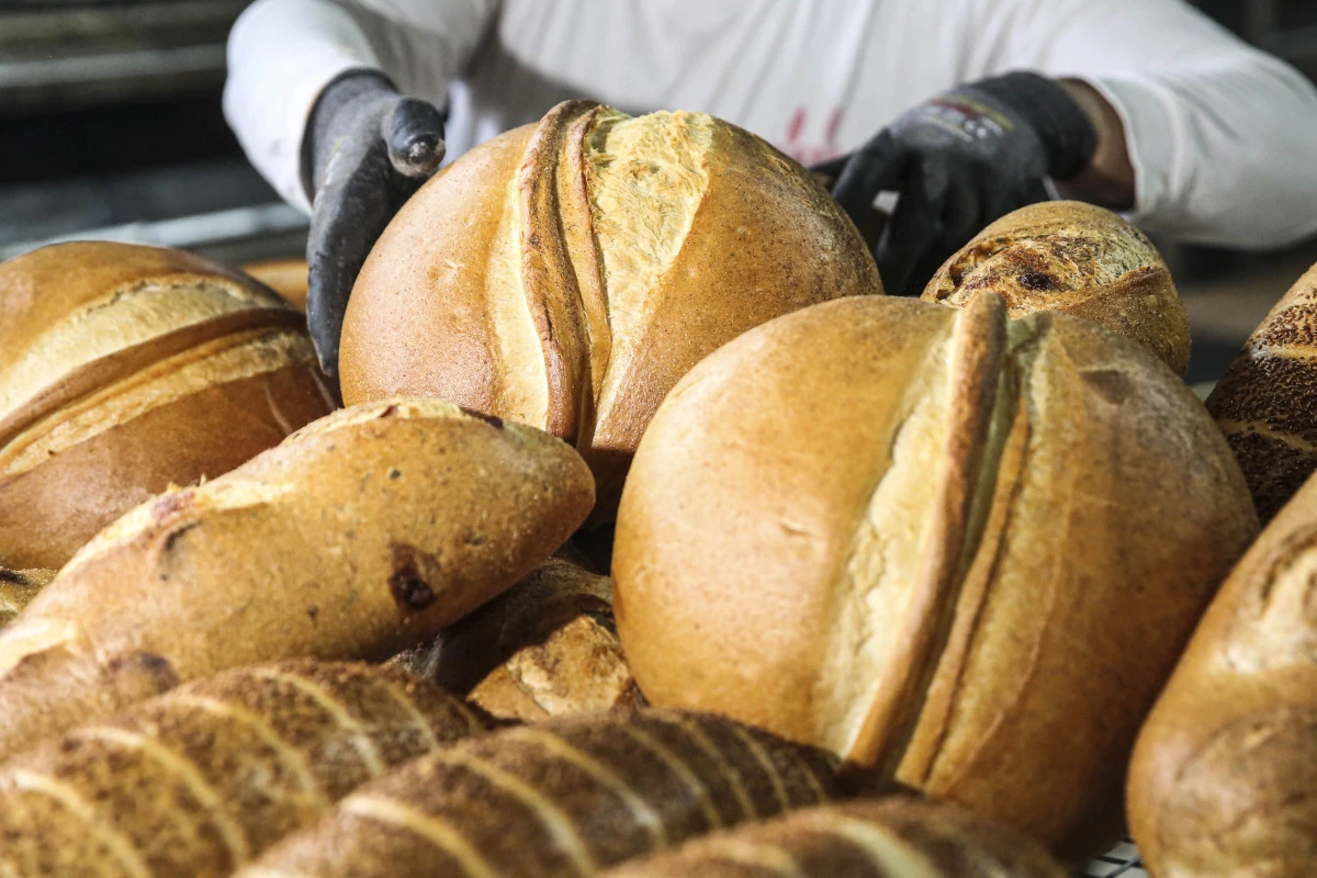 Ankara Halk Ekmek Fabrikası, ekşi mayalı ekmek &ccedil;eşitlerine 5 yeni &uuml;r&uuml;n&uuml; daha ekleyerek toplam &ccedil;eşidi 11&rsquo;e y&uuml;kseltti.