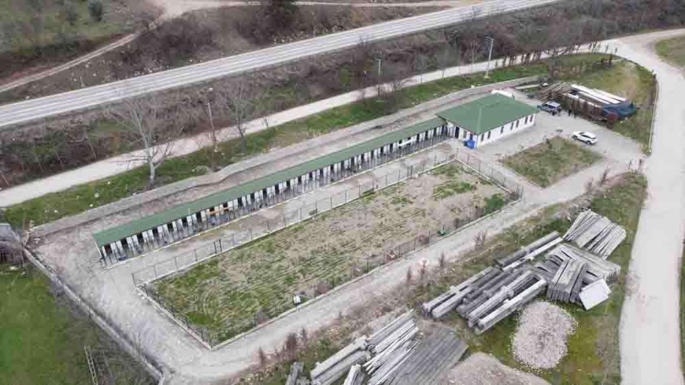 Belediyenin hayvan barınağı, iş insanının destekleriyle hayvan hastanesi oldu 