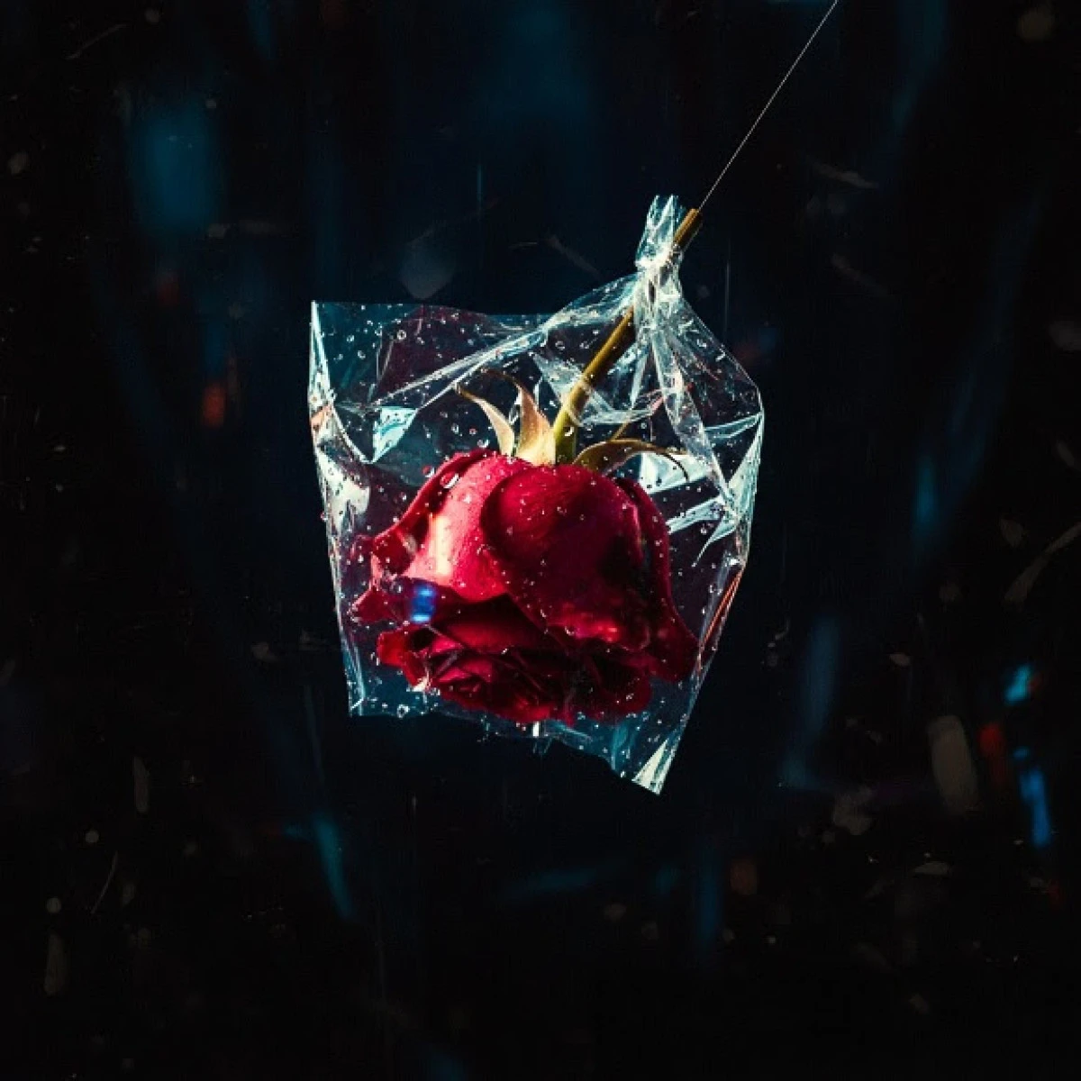 Berkay Altunyay’dan Yeni Hit Adayı: “Beni Yalanlara Sar”