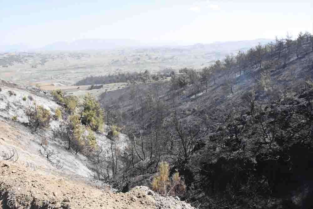 Bilecik te orman yangınının kontrol altına alındığı bölgede soğutma çalışması devam ediyor