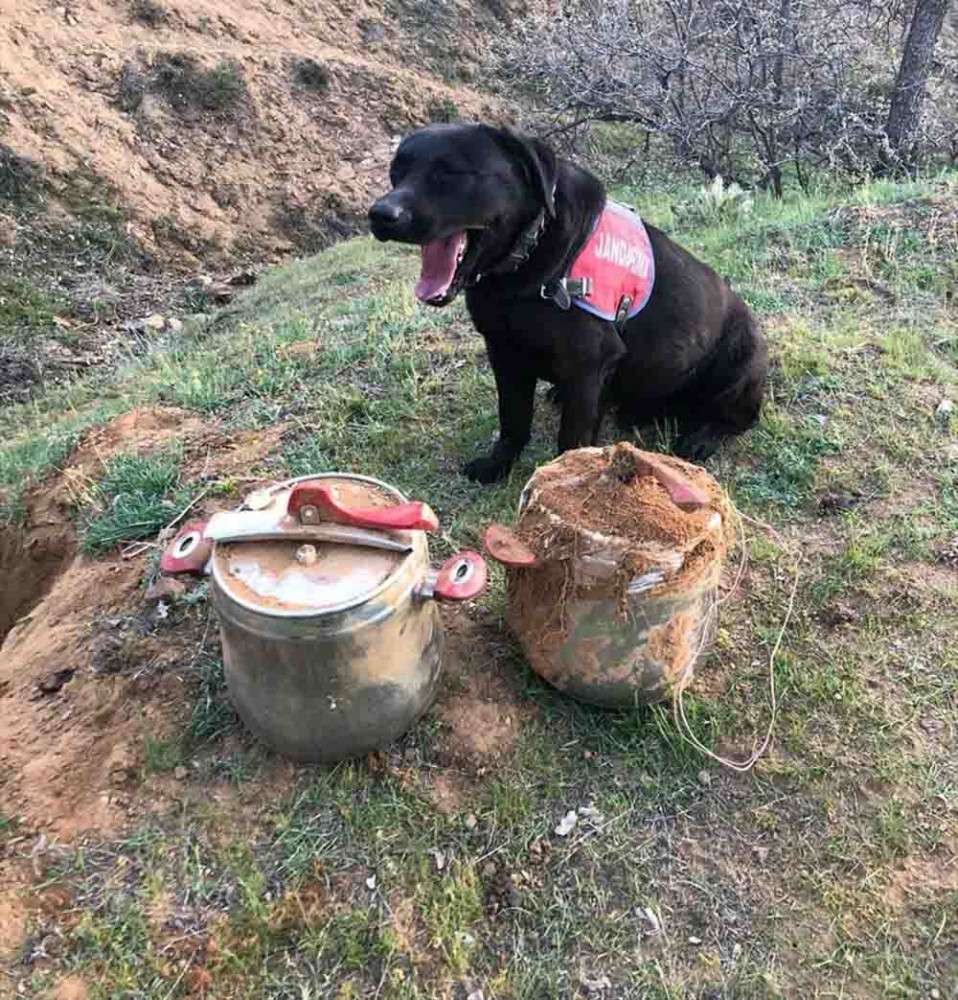 Bingöl'de 2 düdüklü tencerede 40 kilogram el yapımı patlayıcı bulundu