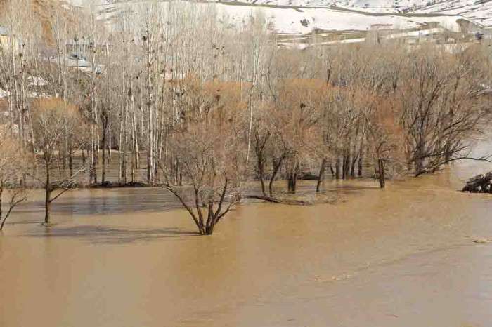 Bingöl'de Perisu Çayı'nın taşması sonucu ahır ve bahçeleri su bastı