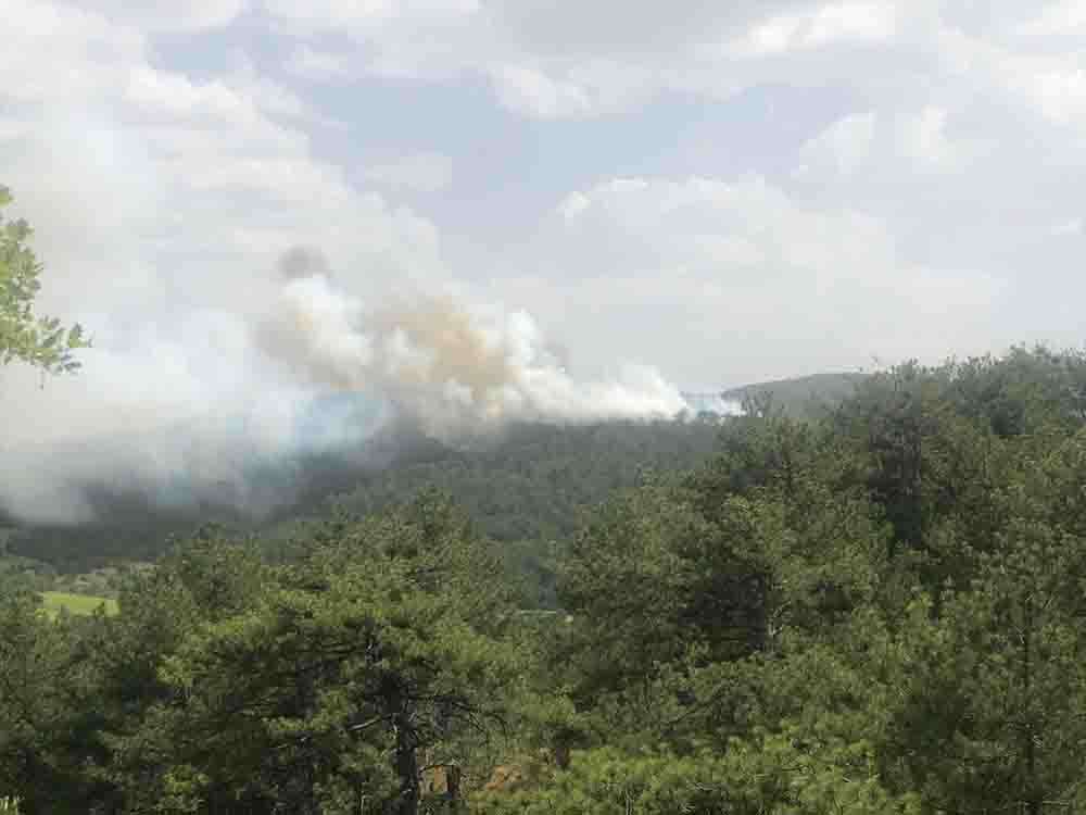 Bolu'da çıkan orman yangınına müdahale ediliyor