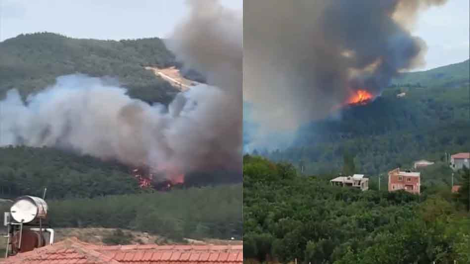 Bursa'da orman yangını: Kontrol altına alınmaya çalışılıyor