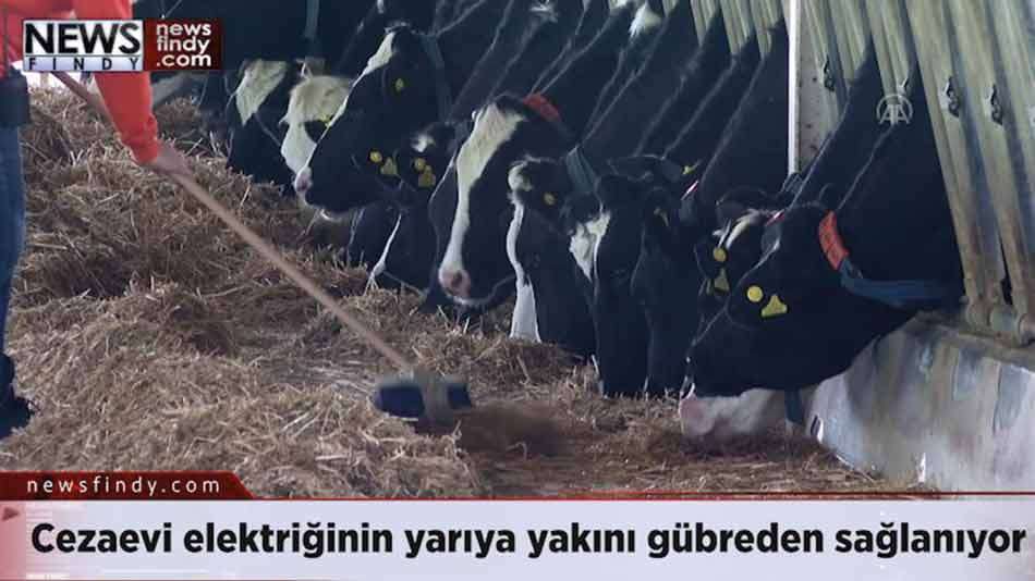Cezaevi elektriğinin yarıya yakını gübreden sağlanıyor