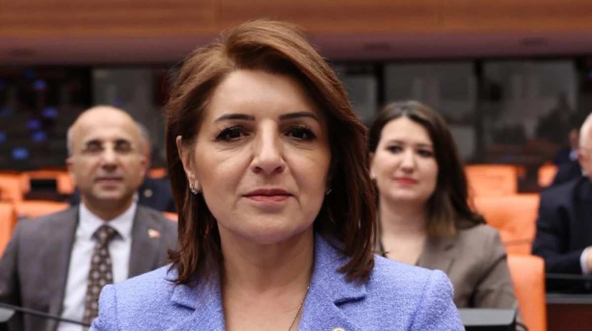 CHP&rsquo;li G&uuml;lcan Kış&rsquo;tan Kredi Kartı Ve Bireysel Bor&ccedil;lar İ&ccedil;in Kapsamlı Yapılandırma Teklifi