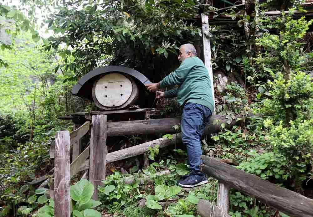 Coğrafi işaretle ilk kez satılacak Ayder balında üretim mesaisi başladı