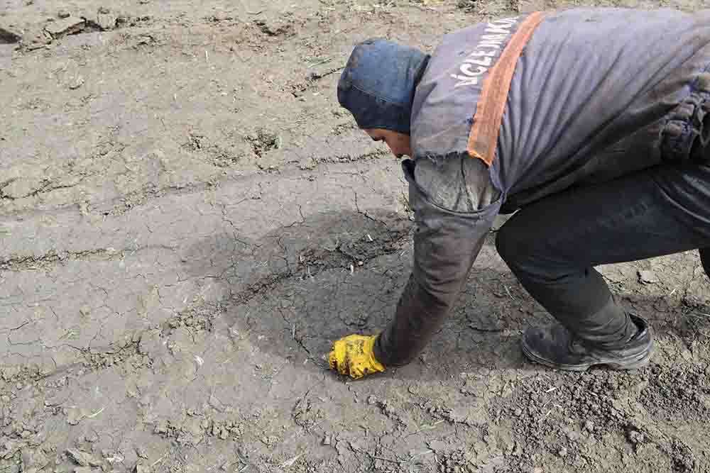Edirne'de asfalt şantiyesinden sızan zifti temizleme çalışmaları devam ediyor 