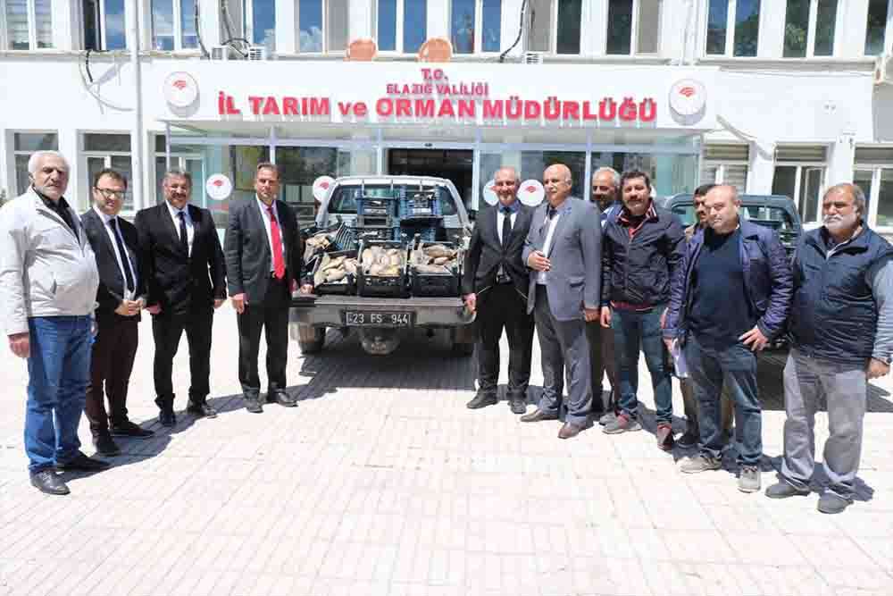 Elazığ'da kaçak avlandığı belirlenen 1150 kilogram balık ele geçirildi