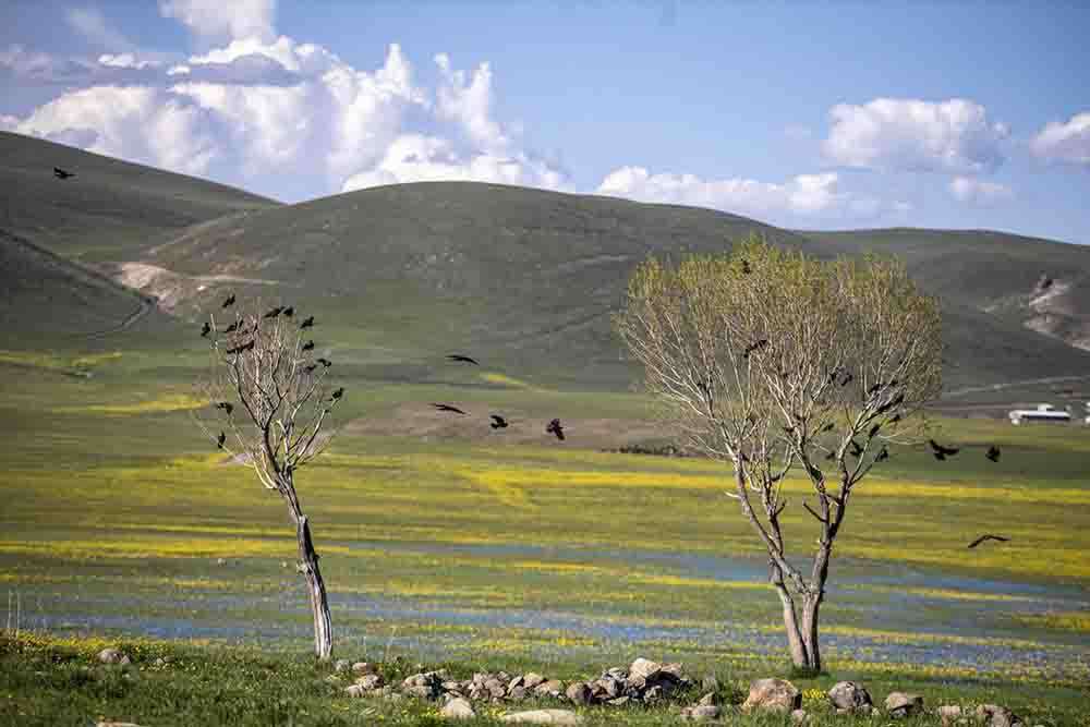 Erzurum'da kopuz eşliğinde foto safari 