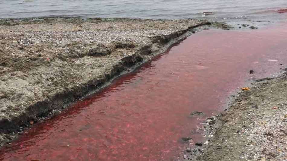 FABRİKA ATIKLARININ BIRAKILDIĞI DERENİN RENGİ KIRMIZIYA DÖNDÜ