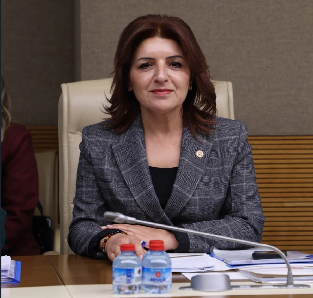 G&uuml;lcan Kış, Bu Torba Yasa Yerel Y&ouml;netimleri Saray İznine Bağlıyor