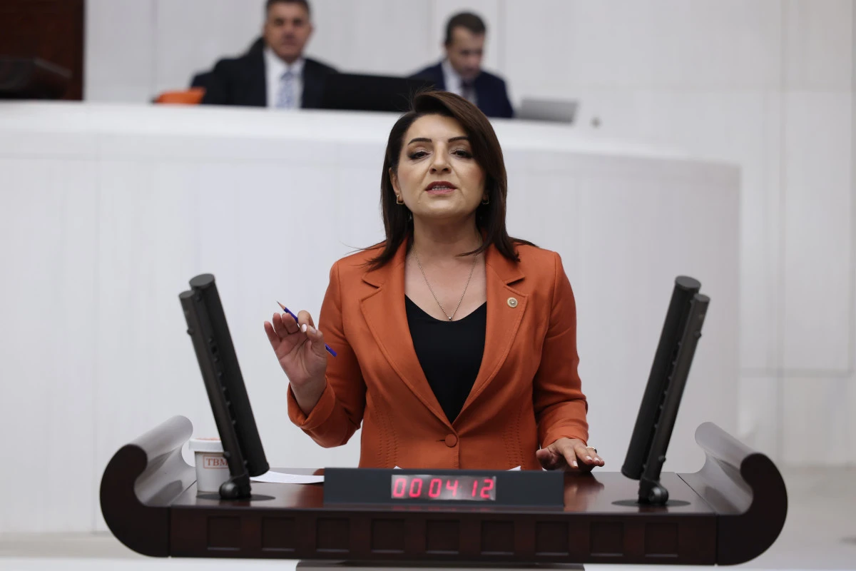 G&uuml;lcan Kış: Hazine Her 100 Liralık İ&ccedil; Bor&ccedil; İ&ccedil;in 103 Lira Faiz &Ouml;deyecek