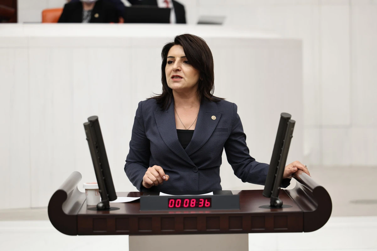 G&uuml;lcan Kış, &Ouml;SYM&rsquo;de Yanlış Yıl Skandalı Meclis&rsquo;te