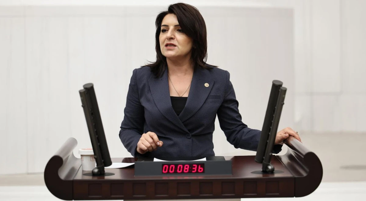 G&uuml;lcan Kış,  T&uuml;rkiye B&uuml;y&uuml;meyi Değil G&uuml;n&uuml; Kurtarmayı Konuşuyor!
