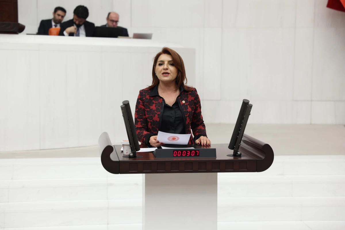 G&uuml;lcan Kış&rsquo;tan Trafik Cezalarına Tepki, Bu Caydırıcılık Değil, Yoksulluğu Cezalandırmaktır!