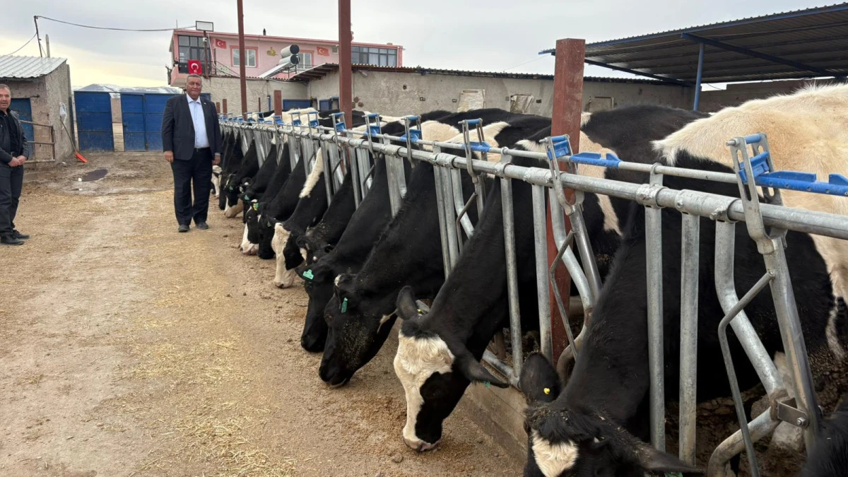 G&uuml;rer: B&uuml;y&uuml;kbaş hayvan varlığı konusunda T&Uuml;İK yanıltıldı mı?