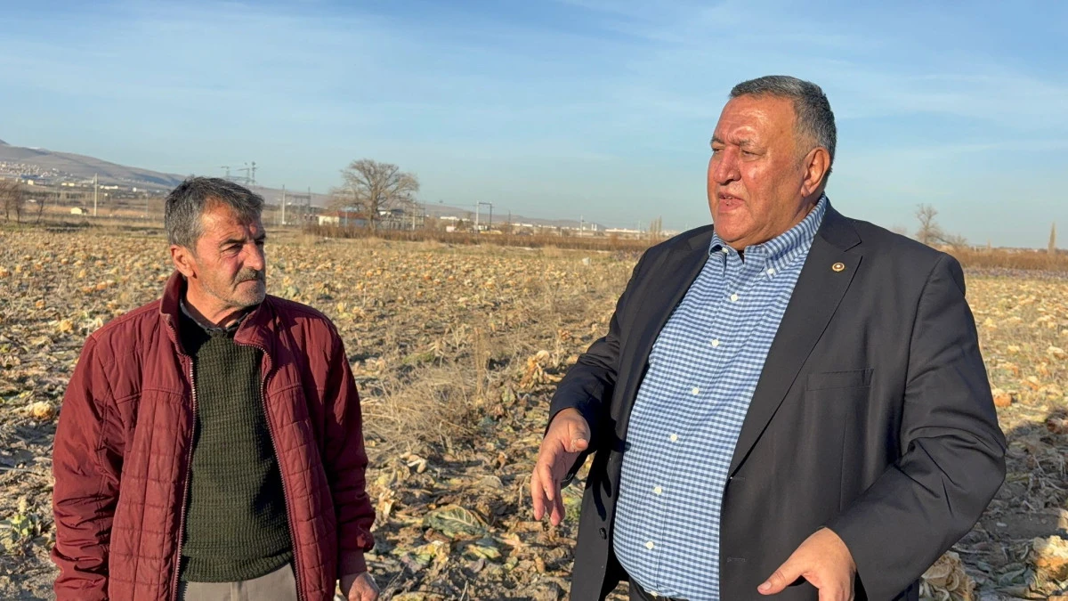 G&uuml;rer: İsraf Tarlada Başlıyor, &Uuml;retici Yalnız Bırakılıyor