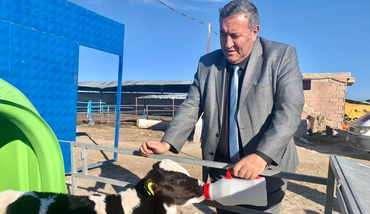 G&uuml;rer&rsquo;den S&uuml;t İthalatı &Ccedil;ıkışı: Yerli &Uuml;reticiye Kuruşlar, İthalat&ccedil;ıya Dolarlar!