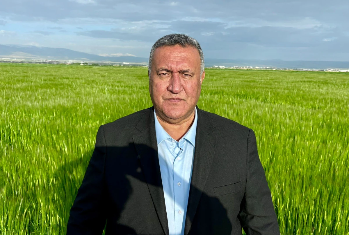Hasat Başladı Fiyat Yok: CHP&rsquo;li G&uuml;rer &Uuml;reticinin Belirsizliğe Terk Edilmesini Eleştirdi