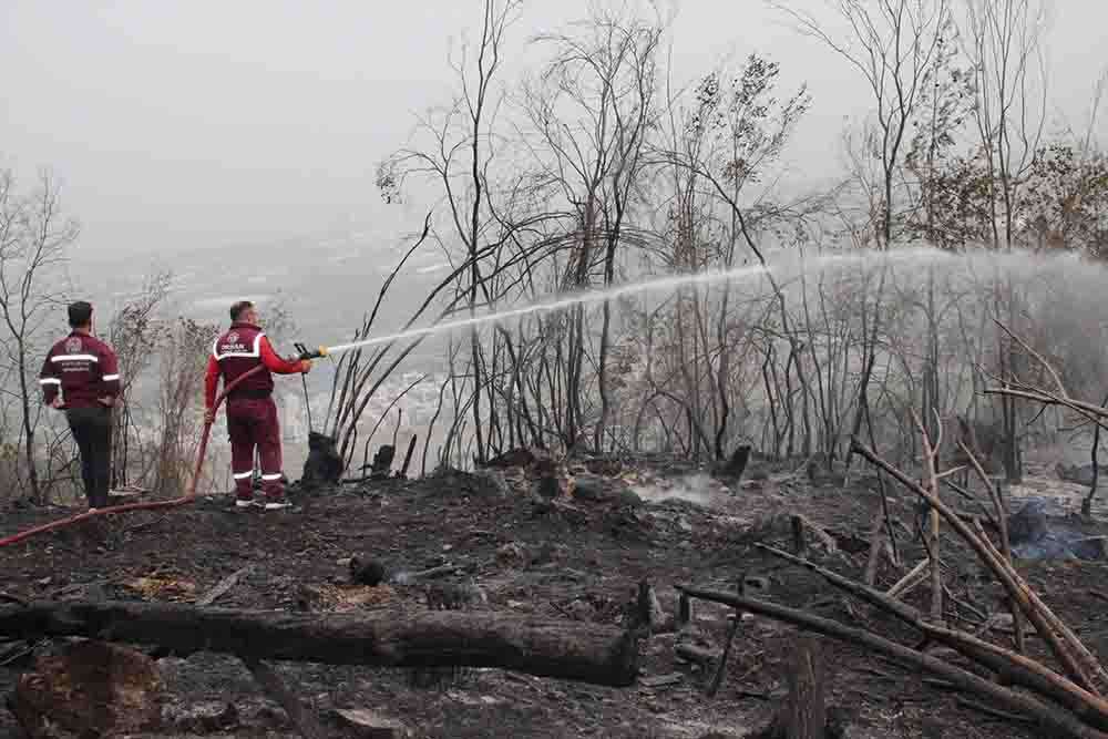 Hatay'da ormanlık alanda çıkan yangın kontrol altına alındı