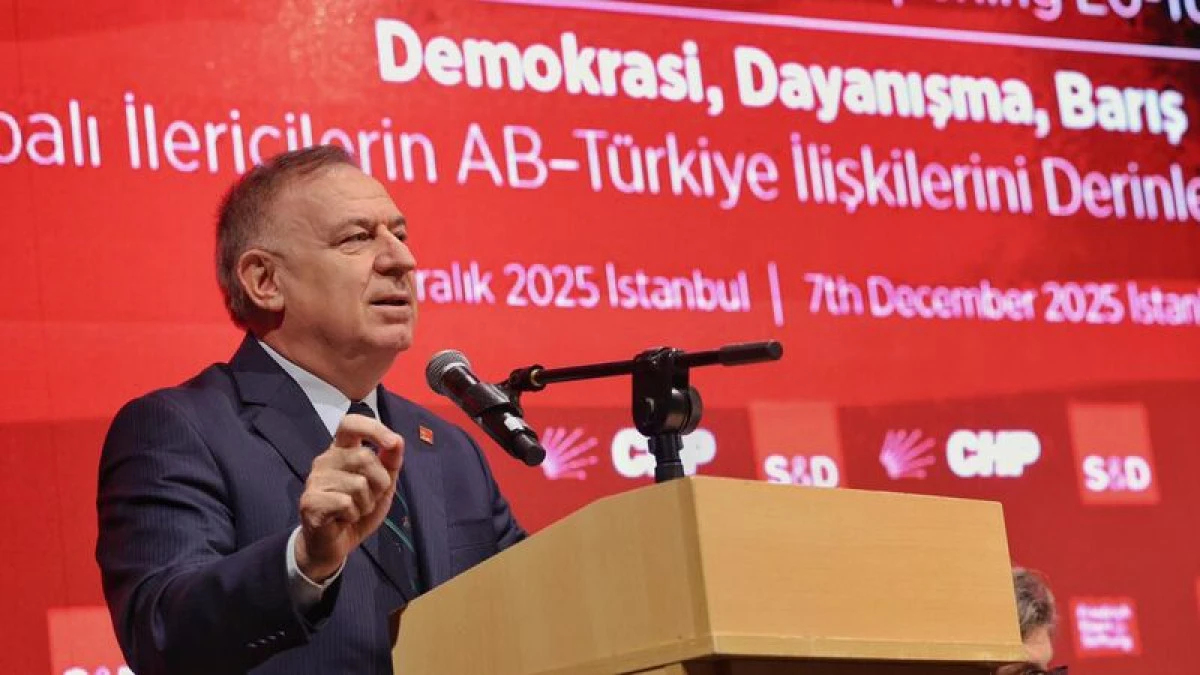 İktidarı Eleştiren Tutuklanıyor – Zeybek’ten Türkiye’de Baskı Rejimi Uyarısı