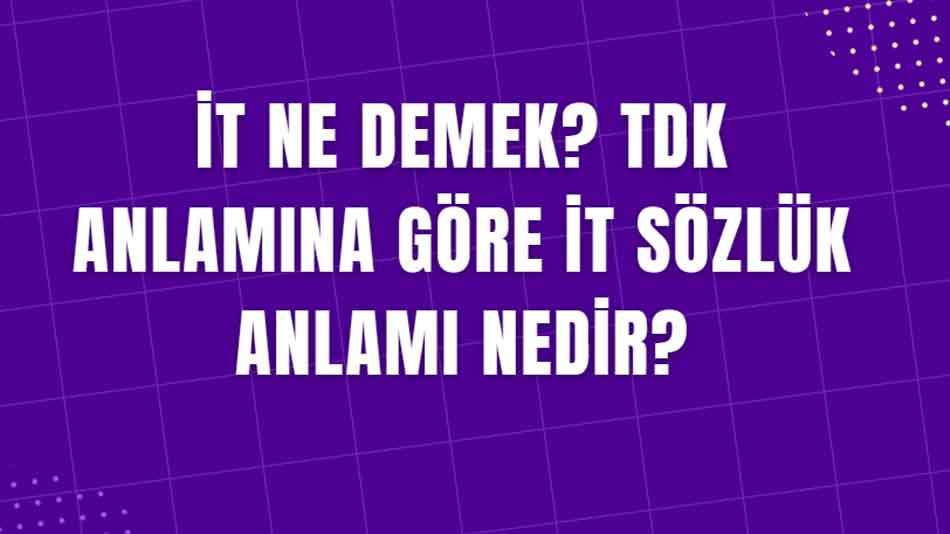 İt Ne Demek? TDK Anlamına Göre İt Sözlük Anlamı Nedir?