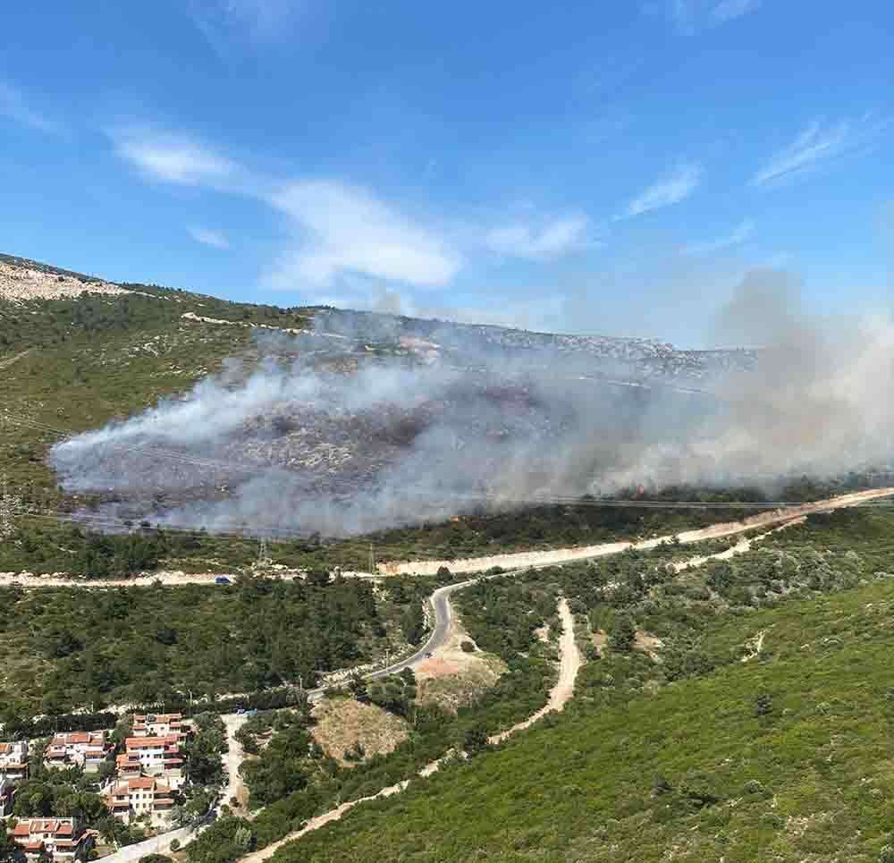 İzmir'in Urla ve Dikili ilçelerinde ormanlık alanlarda yangın çıktı