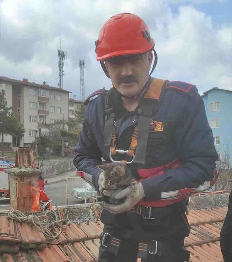 Karabük'te havalandırma boşluğunda mahsur kalan kedi yavrusu kurtarıldı