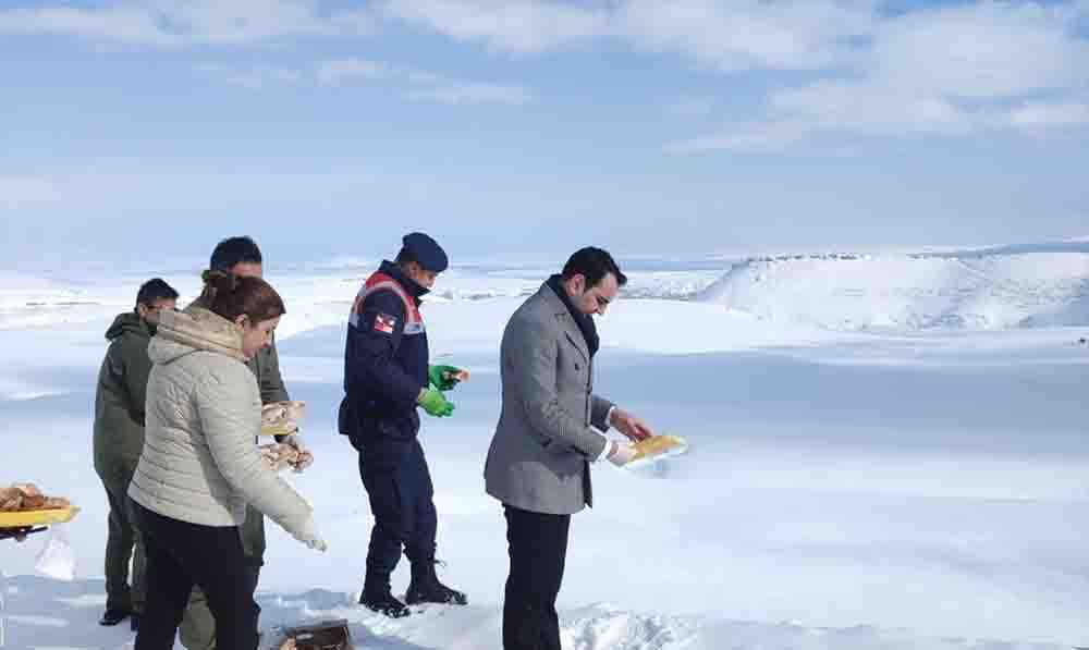 Kars'ta yaban hayvanları için doğaya yem bırakıldı