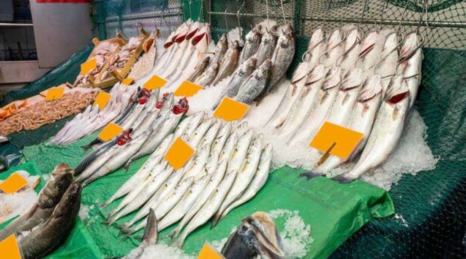 Kasım ayı balıkları nelerdir? Kasım ayında hangi balıklar yenir?