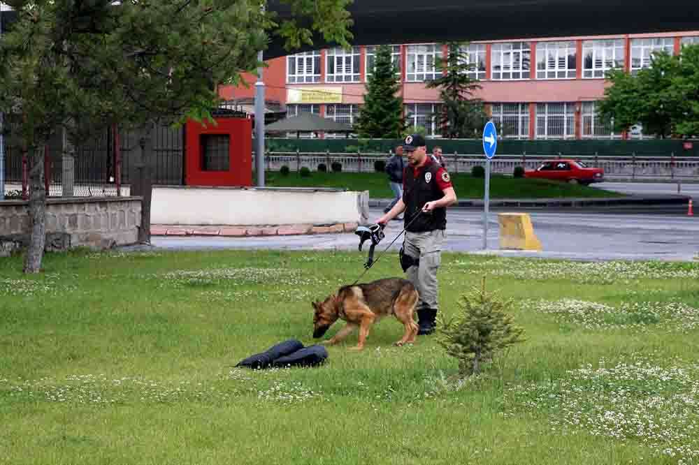 Kayseri'de iz takip köpeği Reks kayıpların bulunmasında önemli rol üstleniyor