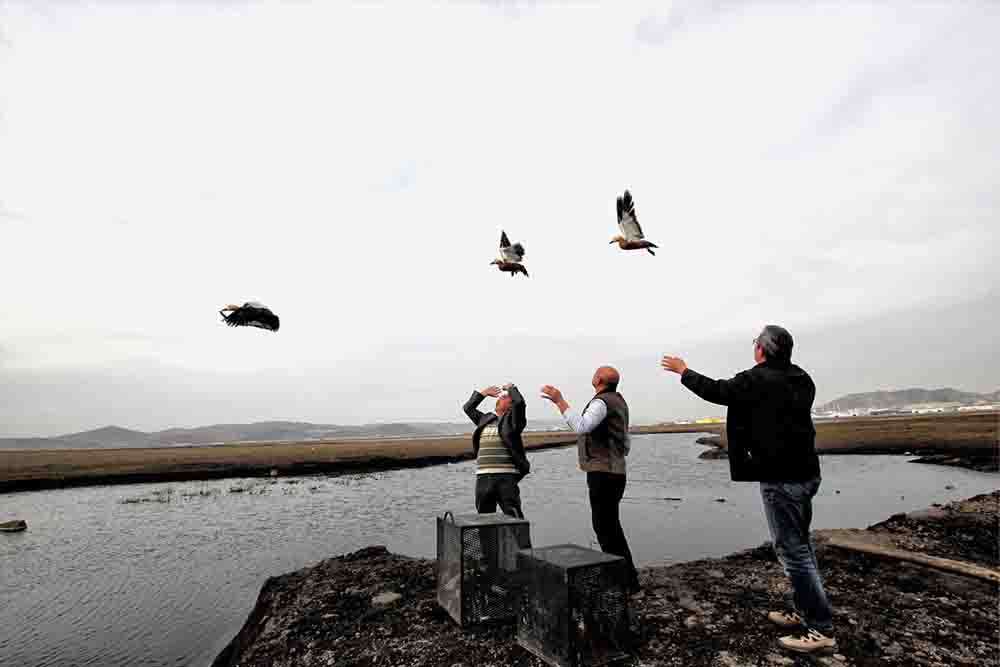 Kayseri'de yaban hayvanlarını evinde besleyen kişiye 20 bin lira ceza