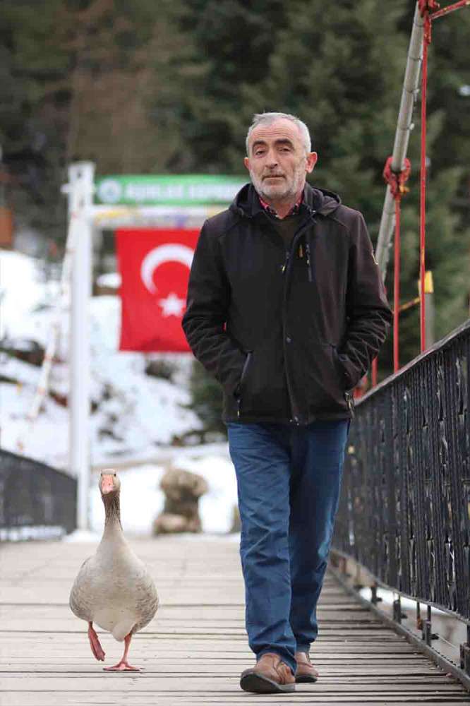 Kaz  Fedai yanından ayrılmadığı sahibiyle gezintiye çıkıp alışveriş yapıyor