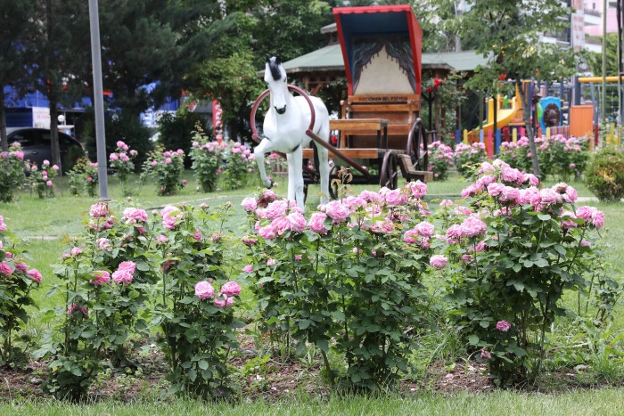 Ke&ccedil;i&ouml;ren&rsquo;de Seradan Parklara Uzanan Yeşil Yolculuk