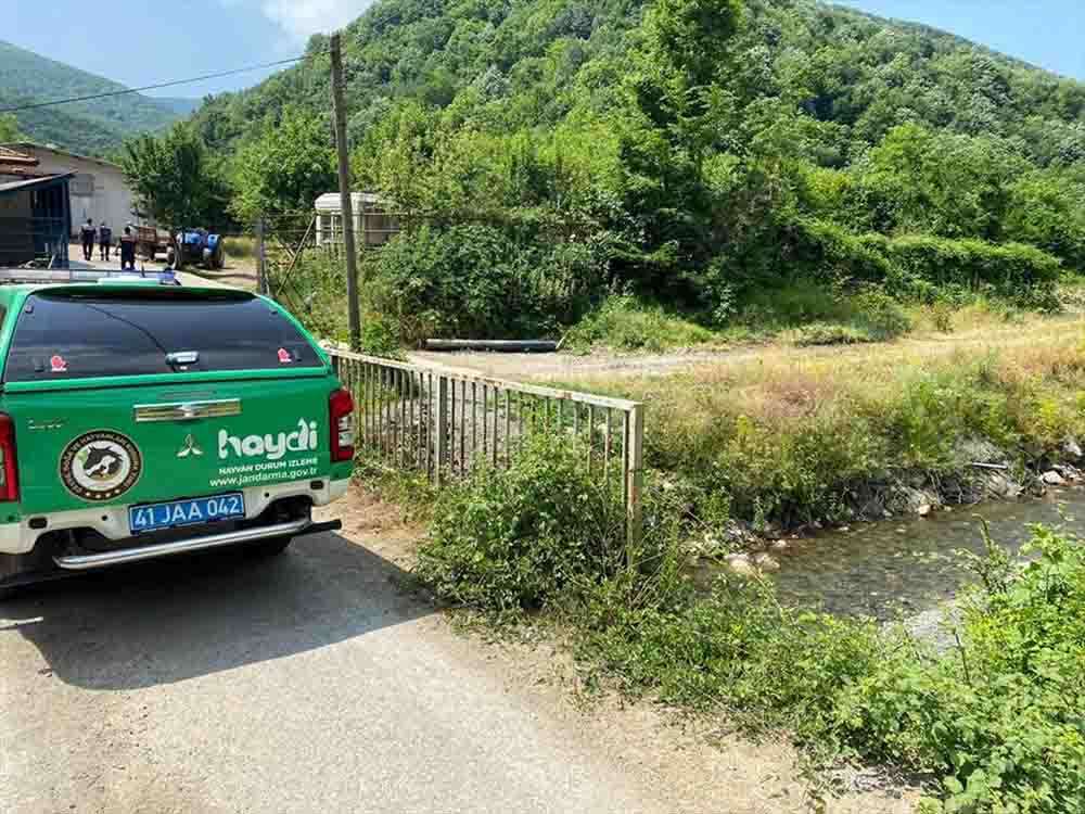 Kocaeli'de atıkları dereye döken besi çiftliği hakkında adli işlem başlatıldı
