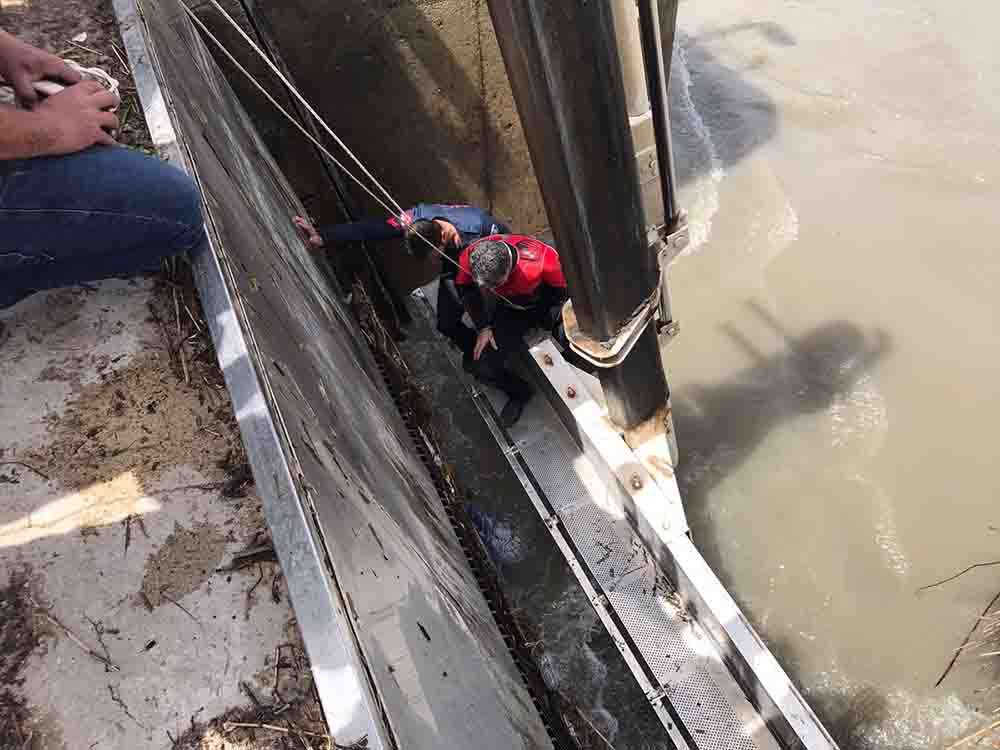 Malatya'da sulama kanalına düşen çiftçinin cesedi bulundu