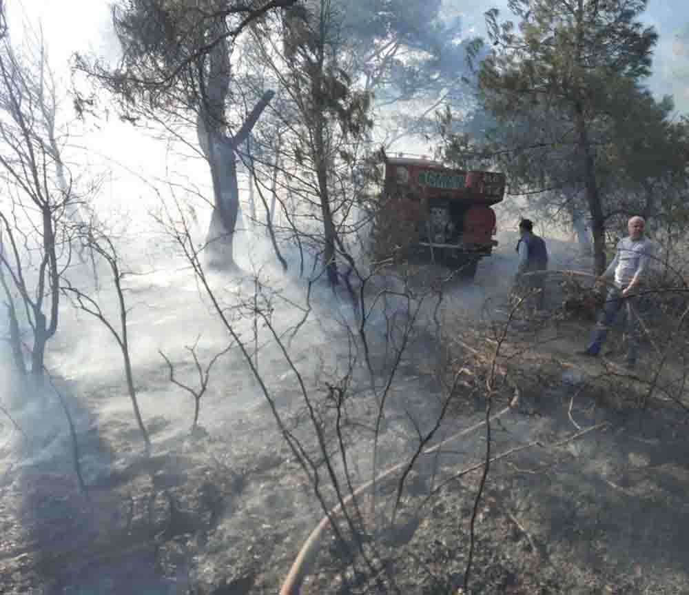 Manisa Soma da orman yangını 