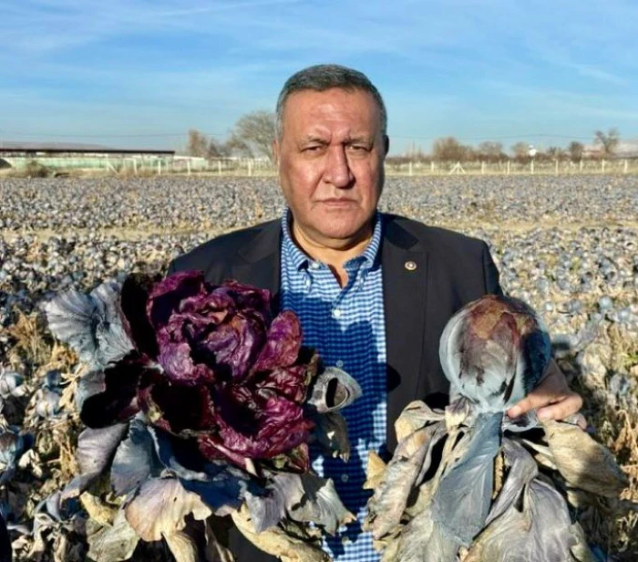 Mazot Zammı Tarlayı Yaktı: CHP&rsquo;li G&uuml;rer&rsquo;den &Uuml;retici ve T&uuml;ketici İ&ccedil;in Acil &Ccedil;ağrı