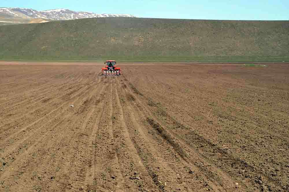 Muş Şeker Üretim Sanayi AŞ Genel Müdürü Turgut Kızılkaya pancar üretim sürecinin başladığını söyledi. 