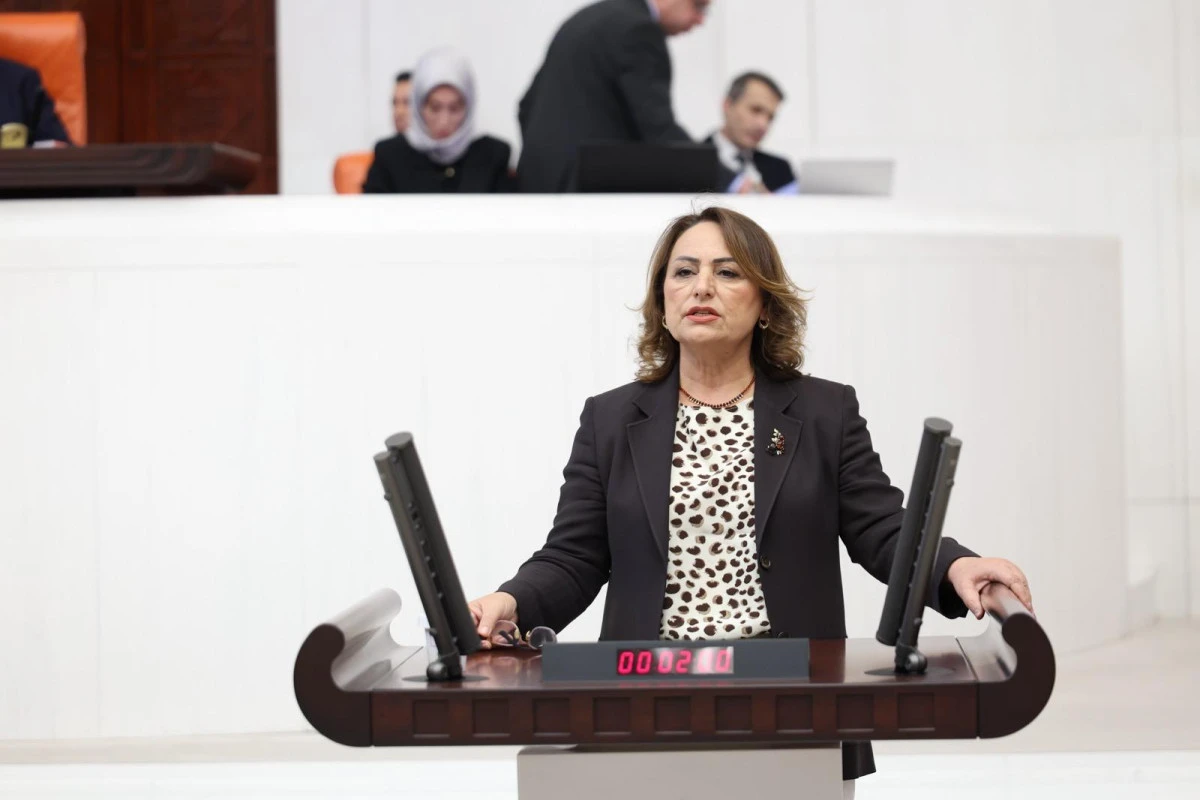 M&uuml;zeyyen Şevkin, 2026 Yılında 600 Maden Sahası Daha İhaleye &Ccedil;ıkarılıyor, Bu Dehşet Vericidir