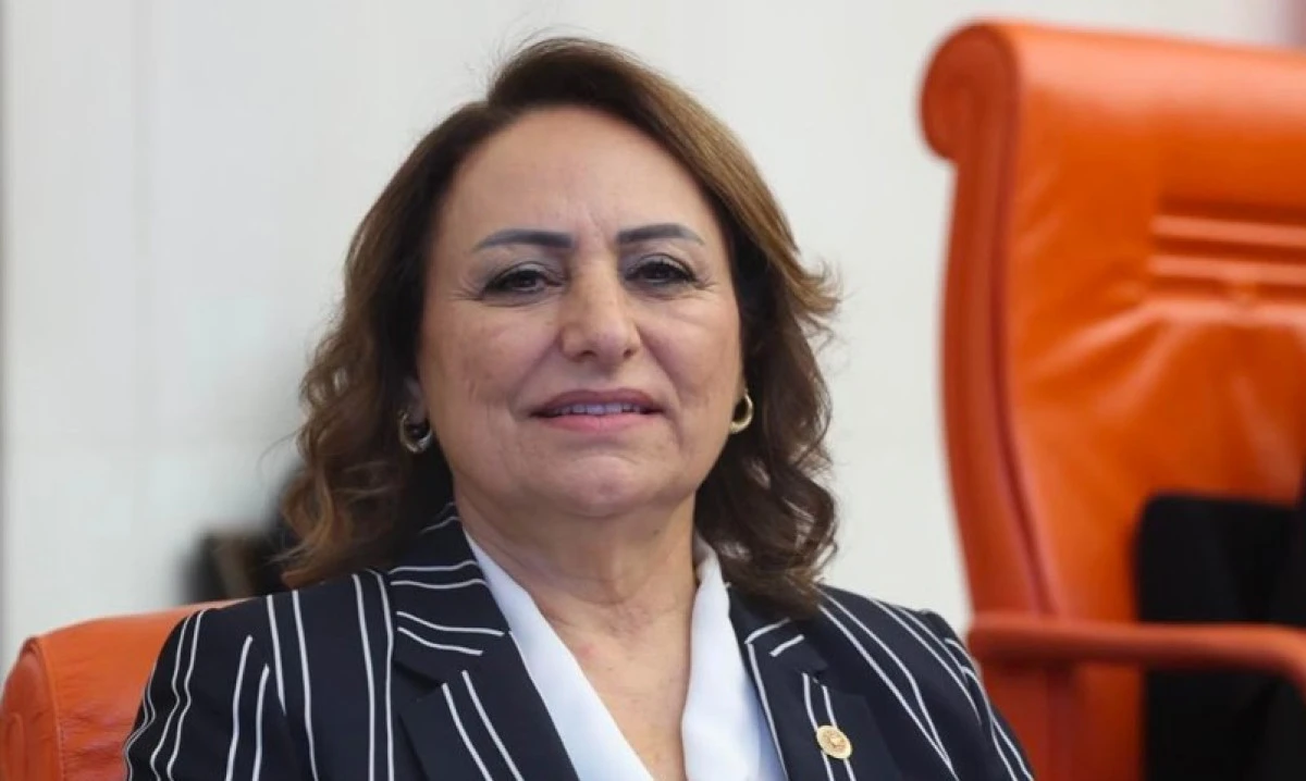 M&uuml;zeyyen Şevkin, Emeklilerle G&ouml;r&uuml;şt&uuml;kten Sonra Mecliste Haykırdı