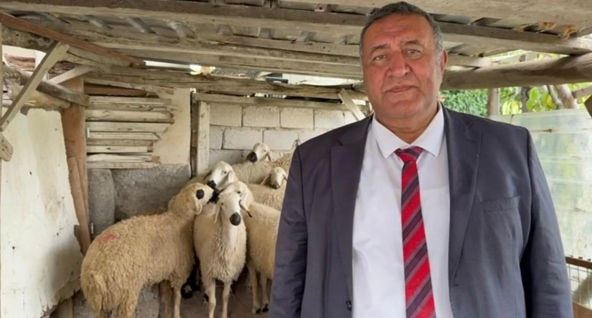 &Ouml;mer Fethi G&uuml;rer Resmi Verilerle A&ccedil;ıkladı: Hayvansal &Uuml;retimde Kırmızı Et Ve S&uuml;t &Uuml;retimi &Ccedil;&ouml;kt&uuml;!