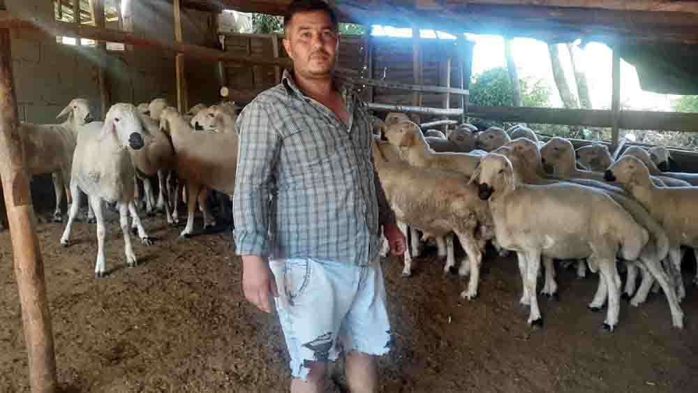 Osmaniyeli besici Yatmaz: Samanın kilosu 85 kuruştan 2,5 liraya çıktı. ne yedirelim bu hayvanlara? 