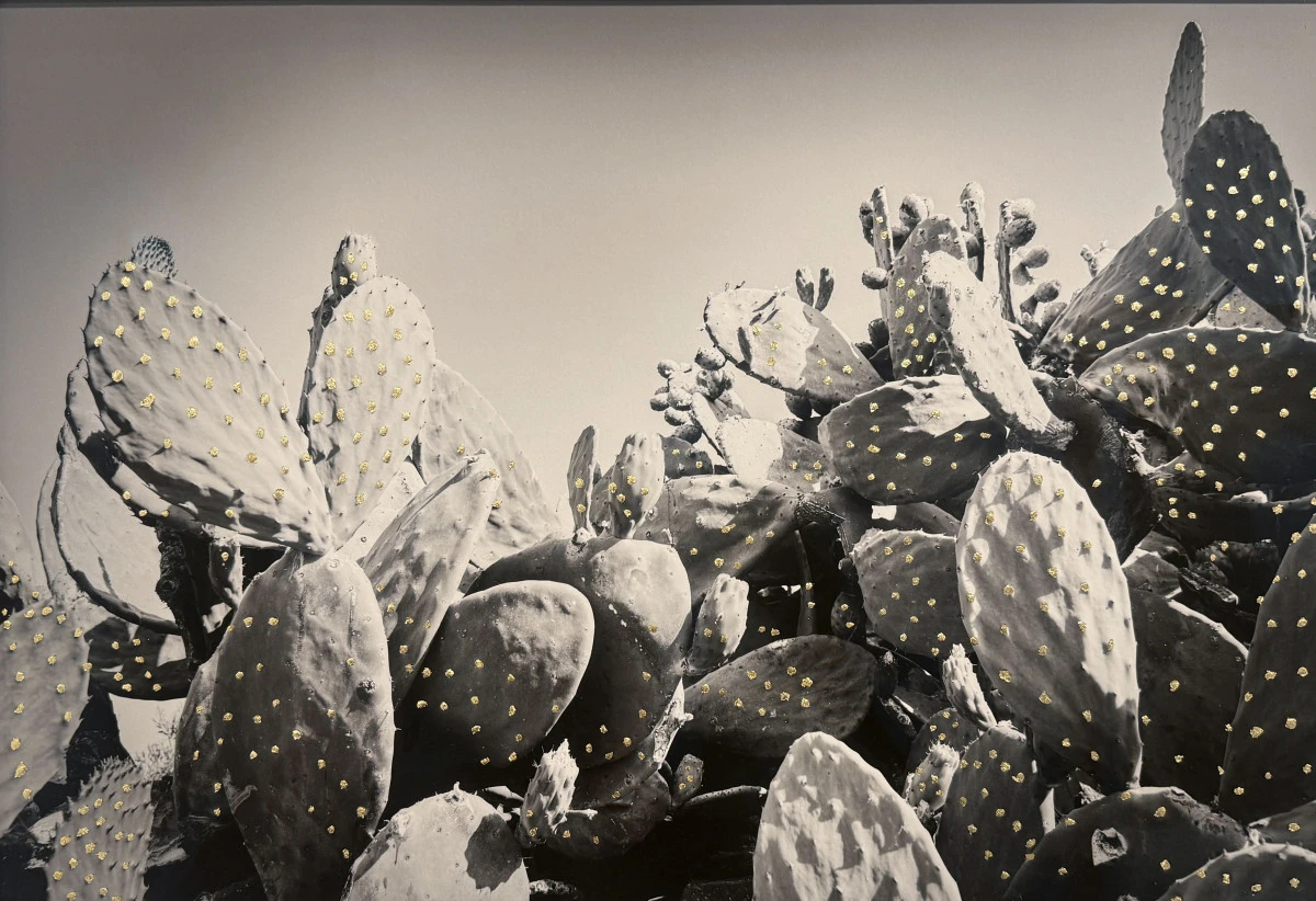 Paris’te İlk Kez Fuara Katılan Lara Sayılgan, ‘Park’ İsimli İnteraktif Eseriyle Sanatseverlerden Yoğun İlgi Gördü.