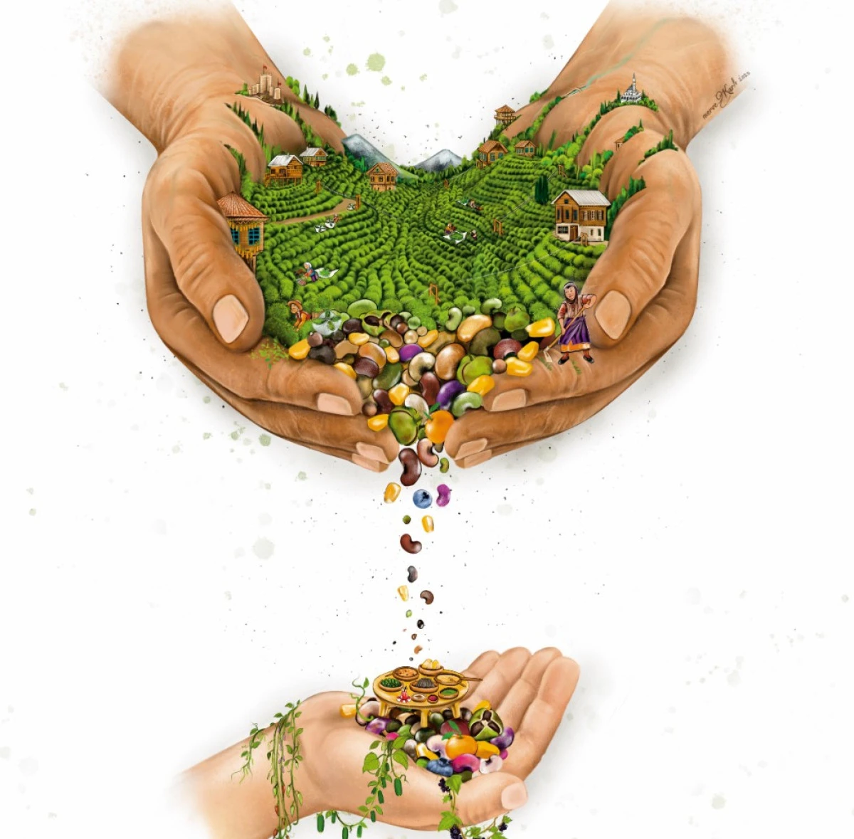 Rize Gastronomi Etkinliği Ezberleri Bozuyor: Geleneksel Mutfak Akademik Vizyonla Buluşuyor