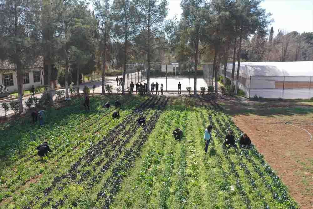 Şanlıurfa'da öğrenciler modern tarımı uygulamalı öğreniyor